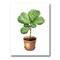 Designart - Ficus Lyre In Clay Flowerpot - Traditional Canvas Wall Art Print